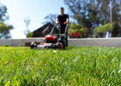 Lawn Mover Cutting